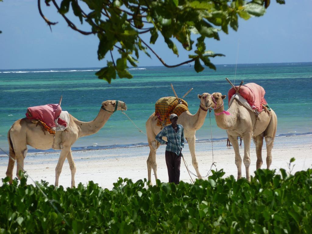 Lantana Galu Beach Playa de Diani Exterior foto